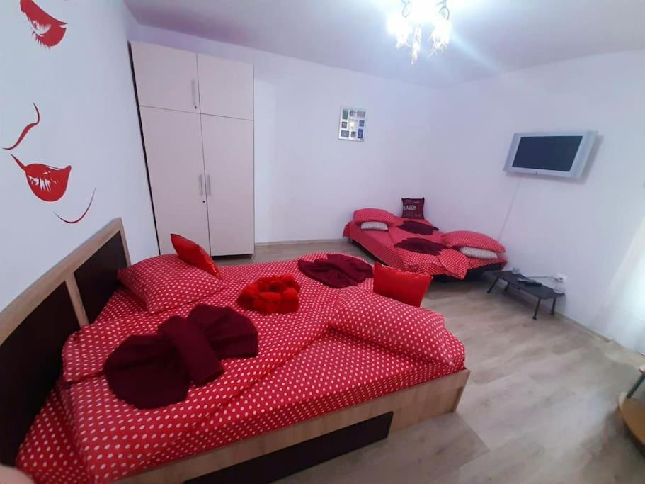 Cazare Centru Braşov Exteriör bild